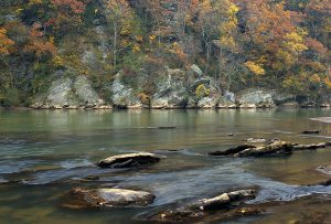 Riverbank photo