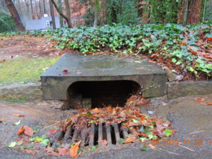 adopt-a-drain . catch basin with leaves